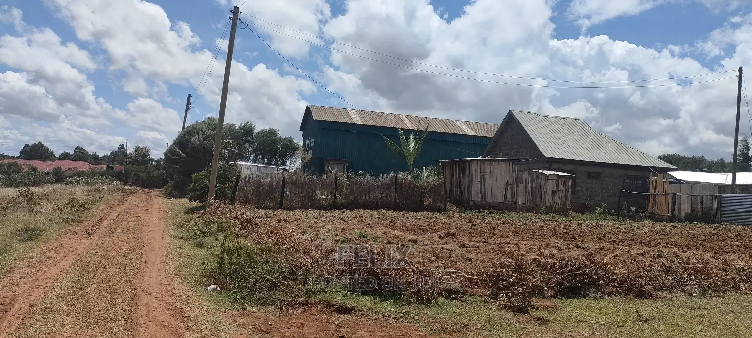 Quarter Plot Chaka/Narumoru Highway.