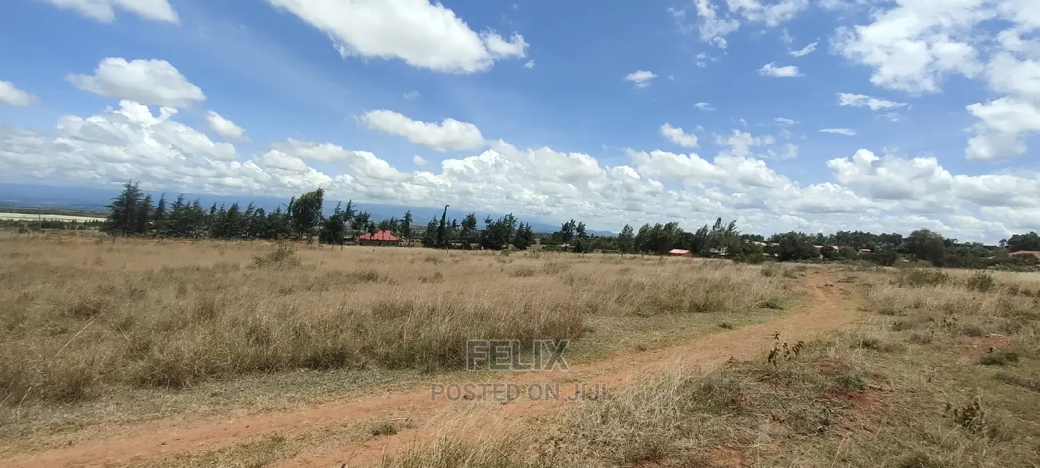 Quarter Plot Chaka/Narumoru Highway.