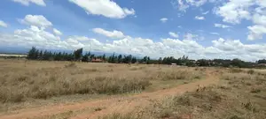 Quarter Plot Chaka/Narumoru Highway.