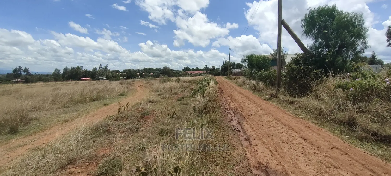 Quarter Plot Chaka/Narumoru Highway.