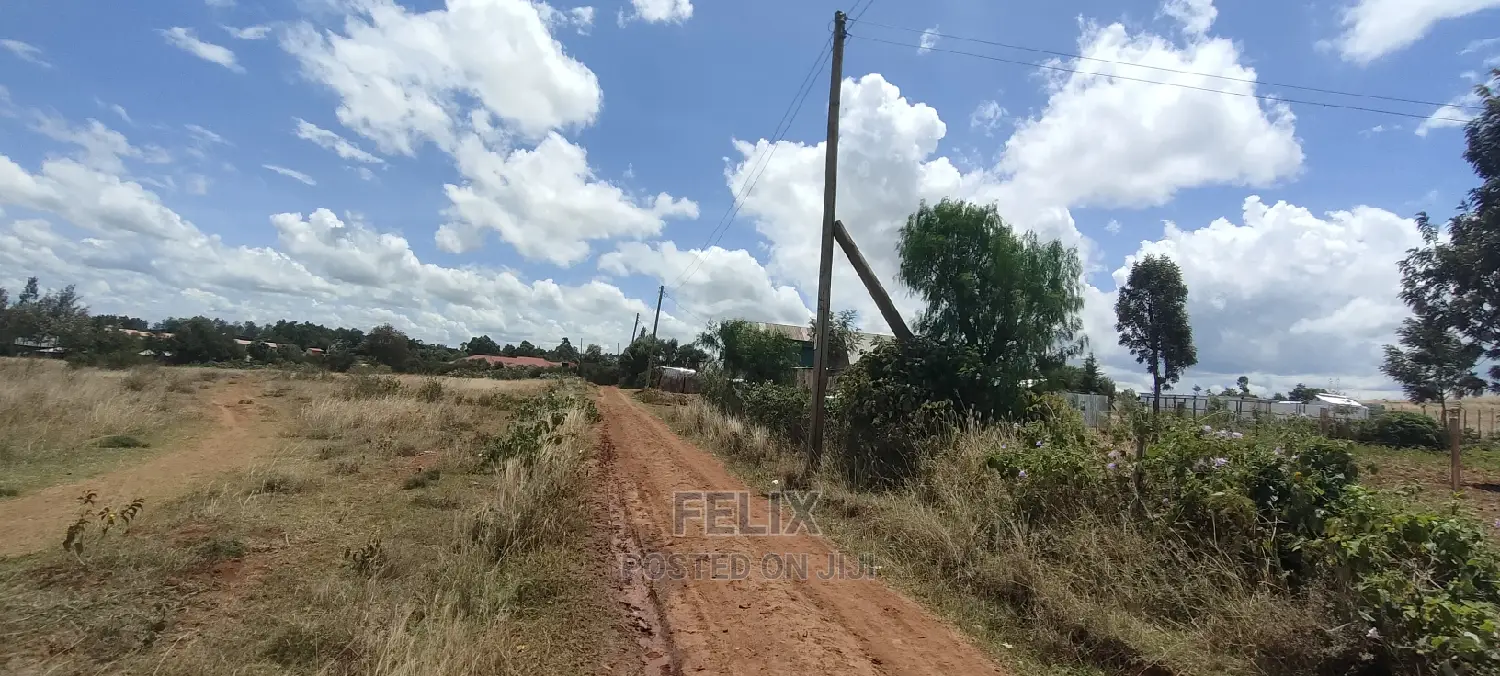 Quarter Plot Chaka/Narumoru Highway.