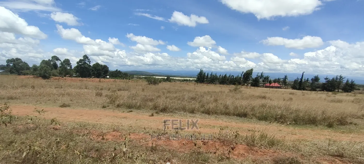 Quarter Plot Chaka/Narumoru Highway.