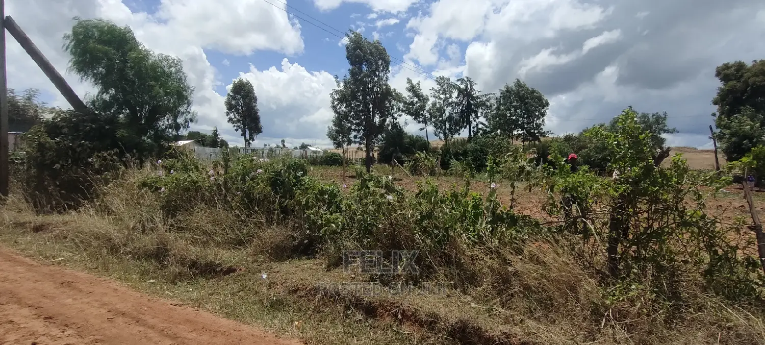 Quarter Plot Chaka/Narumoru Highway.