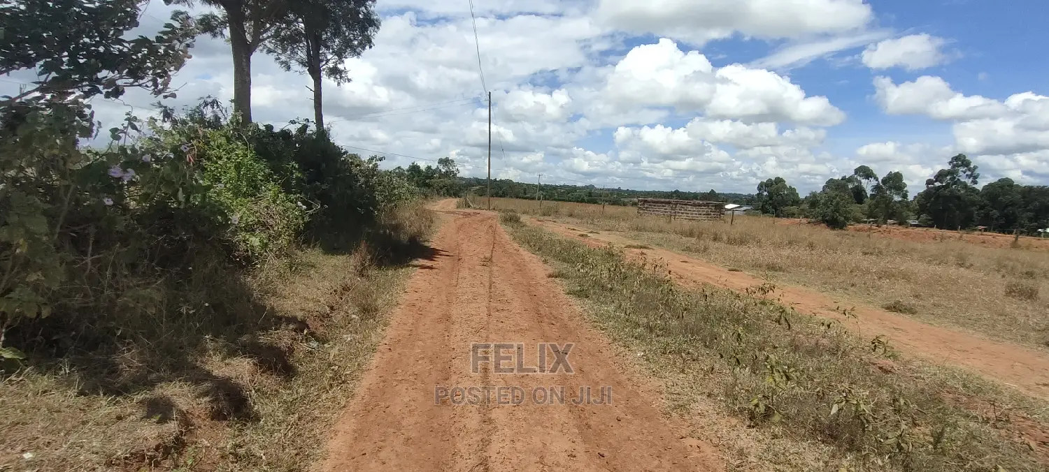 Quarter Plot Chaka/Narumoru Highway.
