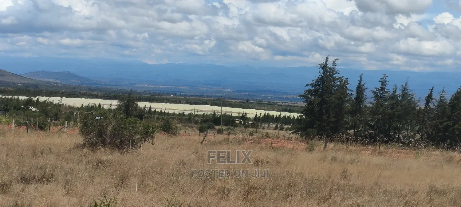 Quarter Plot Chaka/Narumoru Highway.