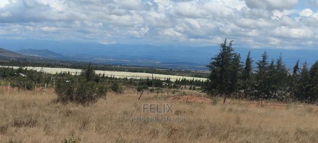 Quarter Plot Chaka/Narumoru Highway. - thumbnail 13