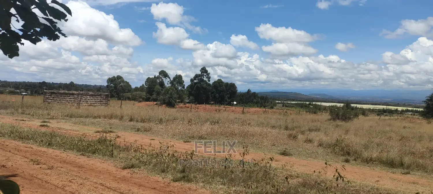 Quarter Plot Chaka/Narumoru Highway.