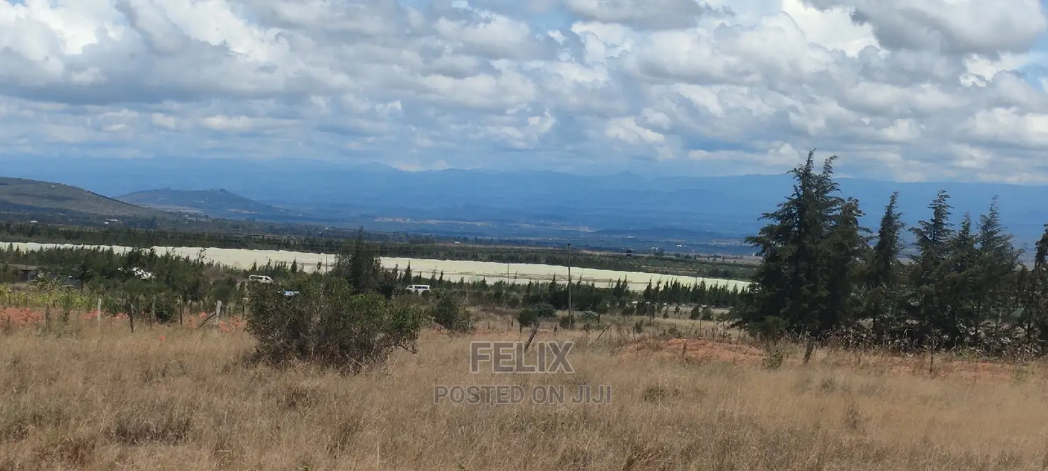 Quarter Plot Chaka/Narumoru Highway.