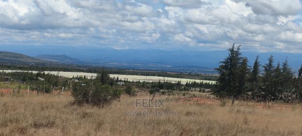 Quarter Plot Chaka/Narumoru Highway. - thumbnail 15