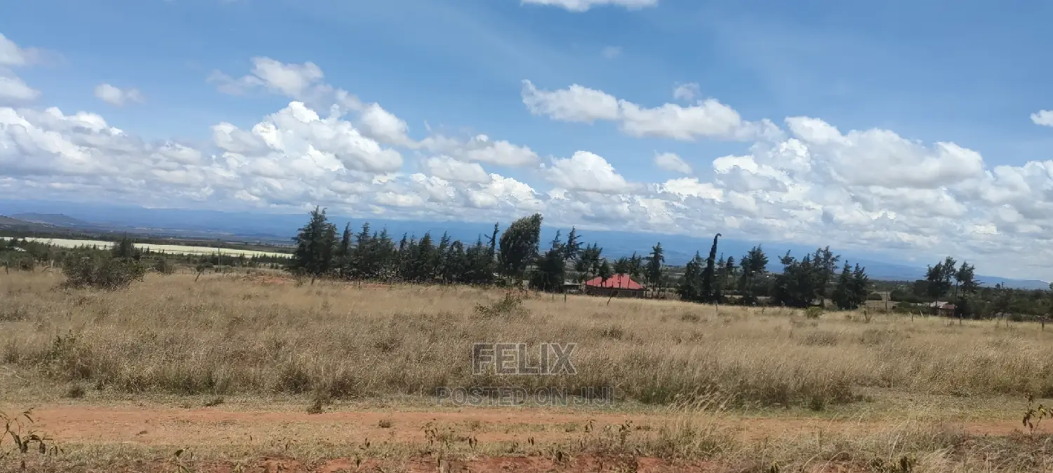 Quarter Plot Chaka/Narumoru Highway.