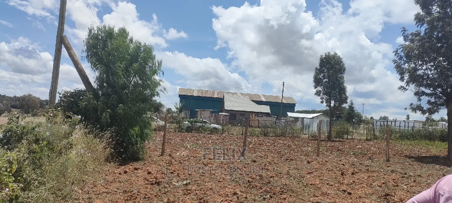 Quarter Plot Chaka/Narumoru Highway.