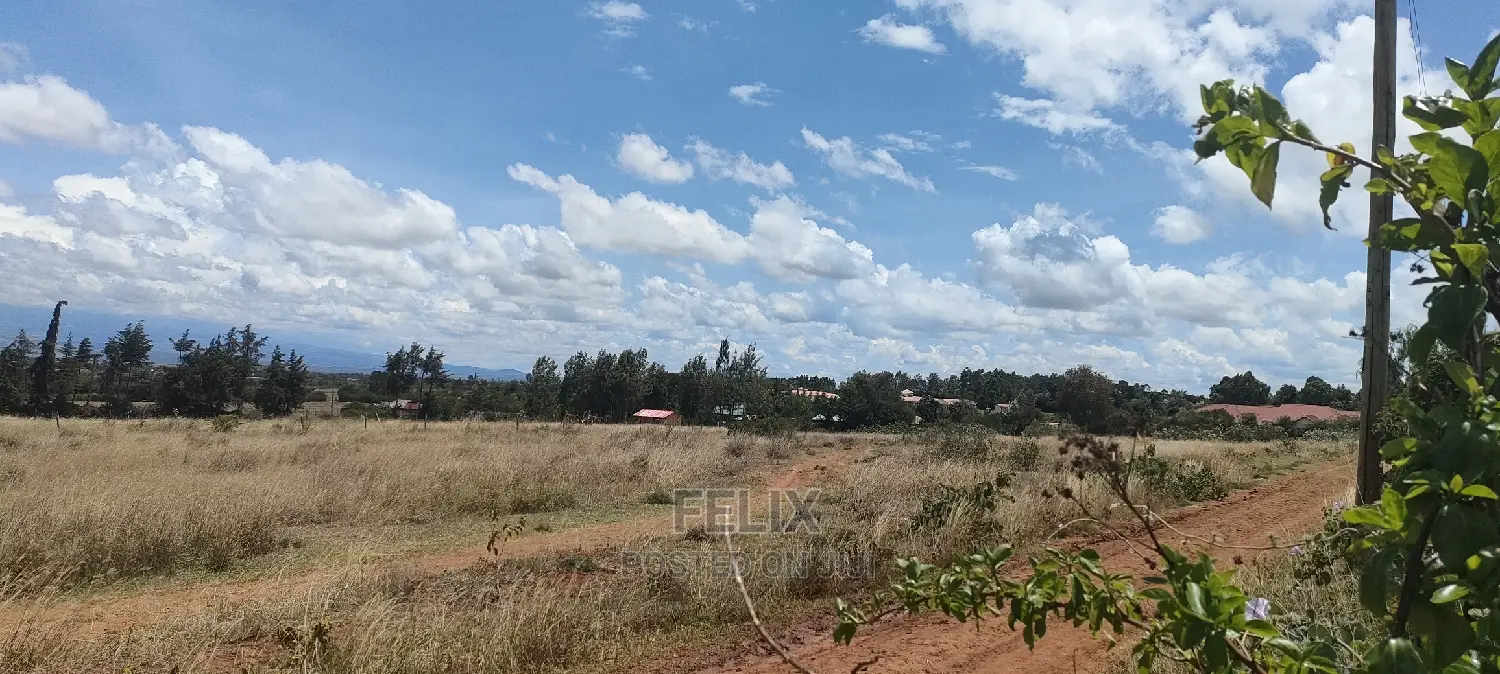 Quarter Plot Chaka/Narumoru Highway.
