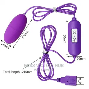 USB Charger Double Egg Bullet Vibrator With Kegel Balls