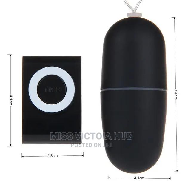 MP3 Vibrating Egg Remote Control Vibrator - thumbnail 2