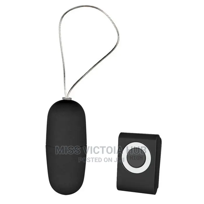 MP3 Vibrating Egg Remote Control Vibrator
