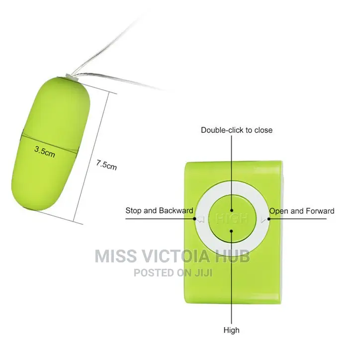 MP3 Vibrating Egg Remote Control Vibrator