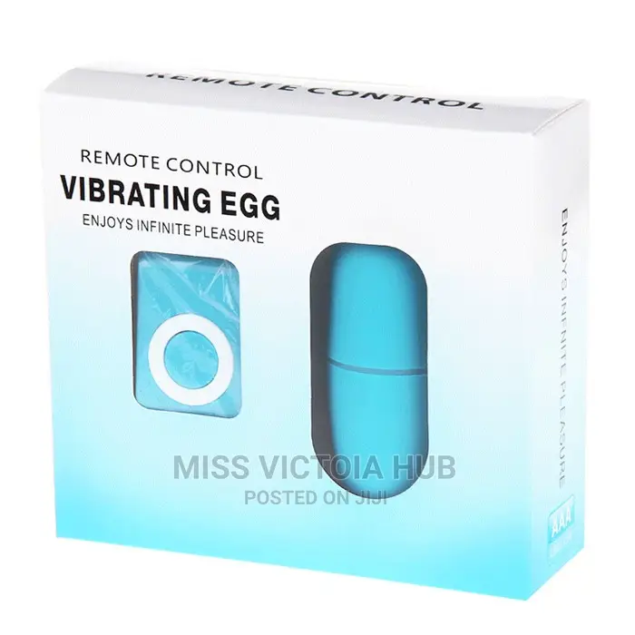 MP3 Vibrating Egg Remote Control Vibrator