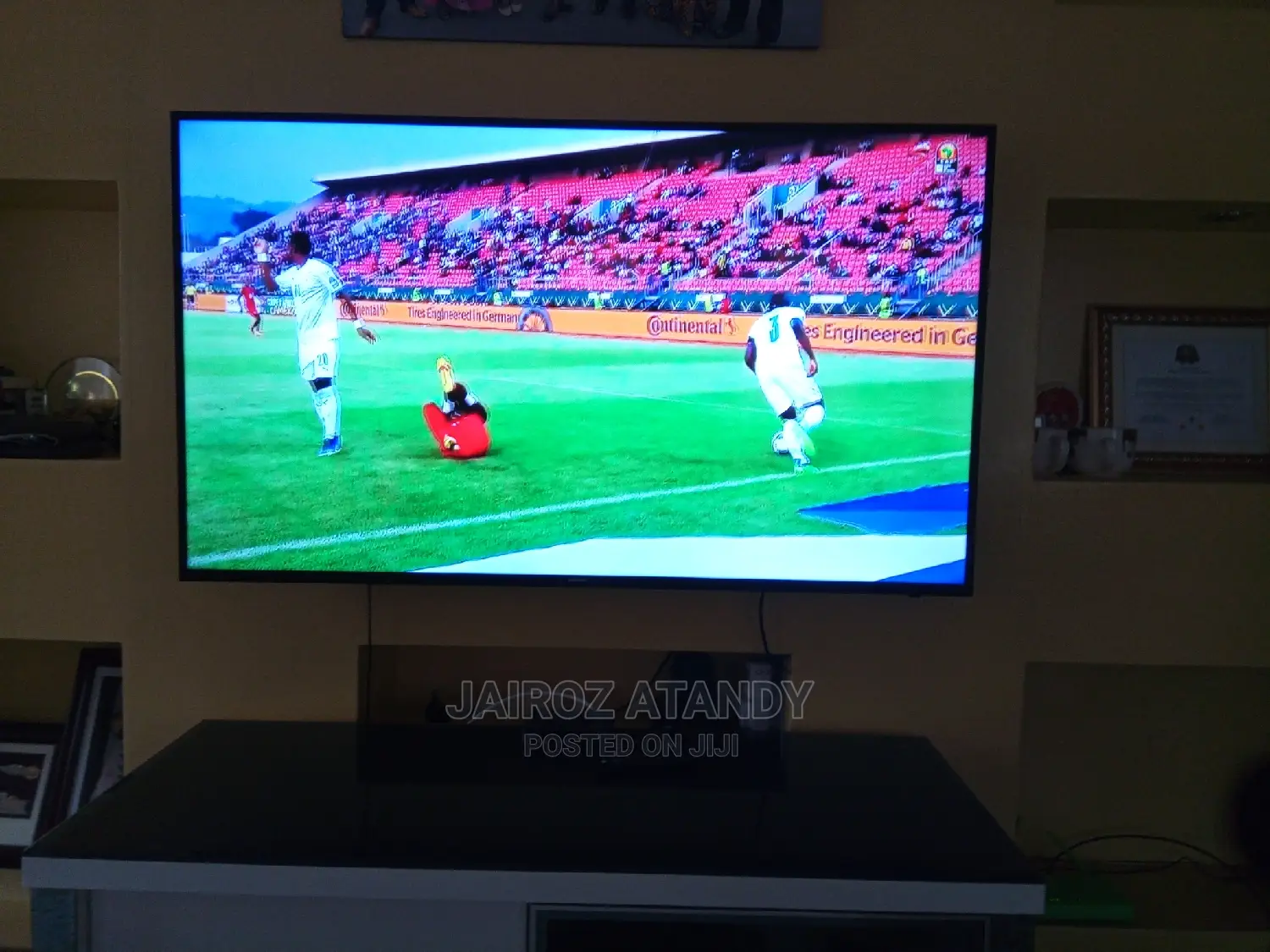 TV Mounting and Installation