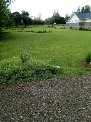 Studio/Bed Sitter Apartments - Airbnb - Nyeri-Nanyuki Hwy