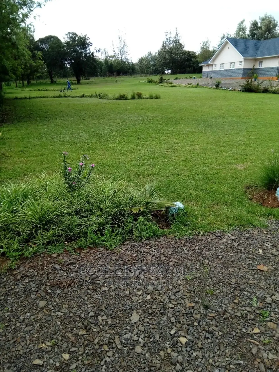Studio/Bed Sitter Apartments - Airbnb - Nyeri-Nanyuki Hwy