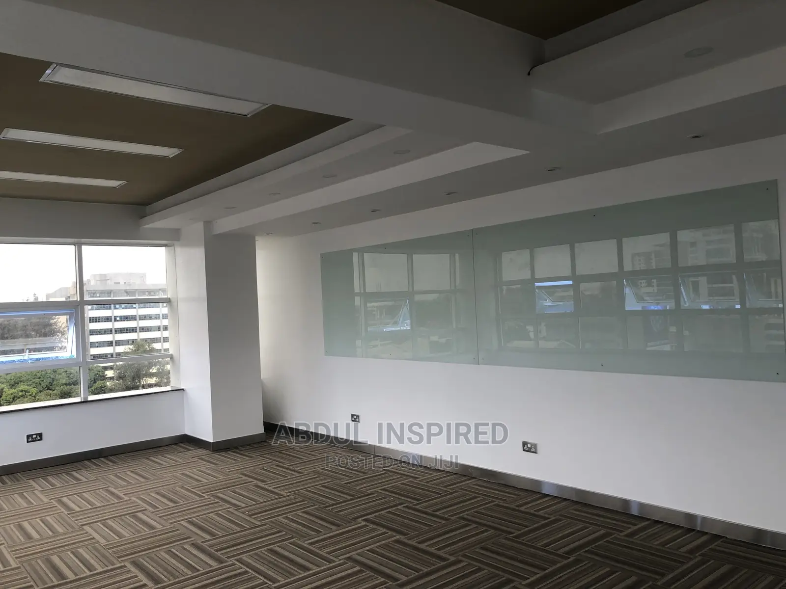 Office Partitioning, Windows And Ceillings