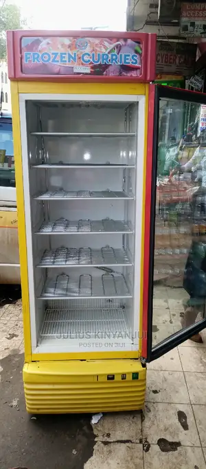 Standing Display Freezer