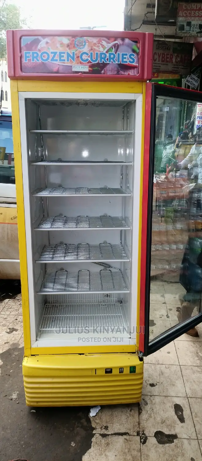 Standing Display Freezer