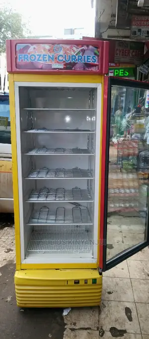 Standing Display Freezer