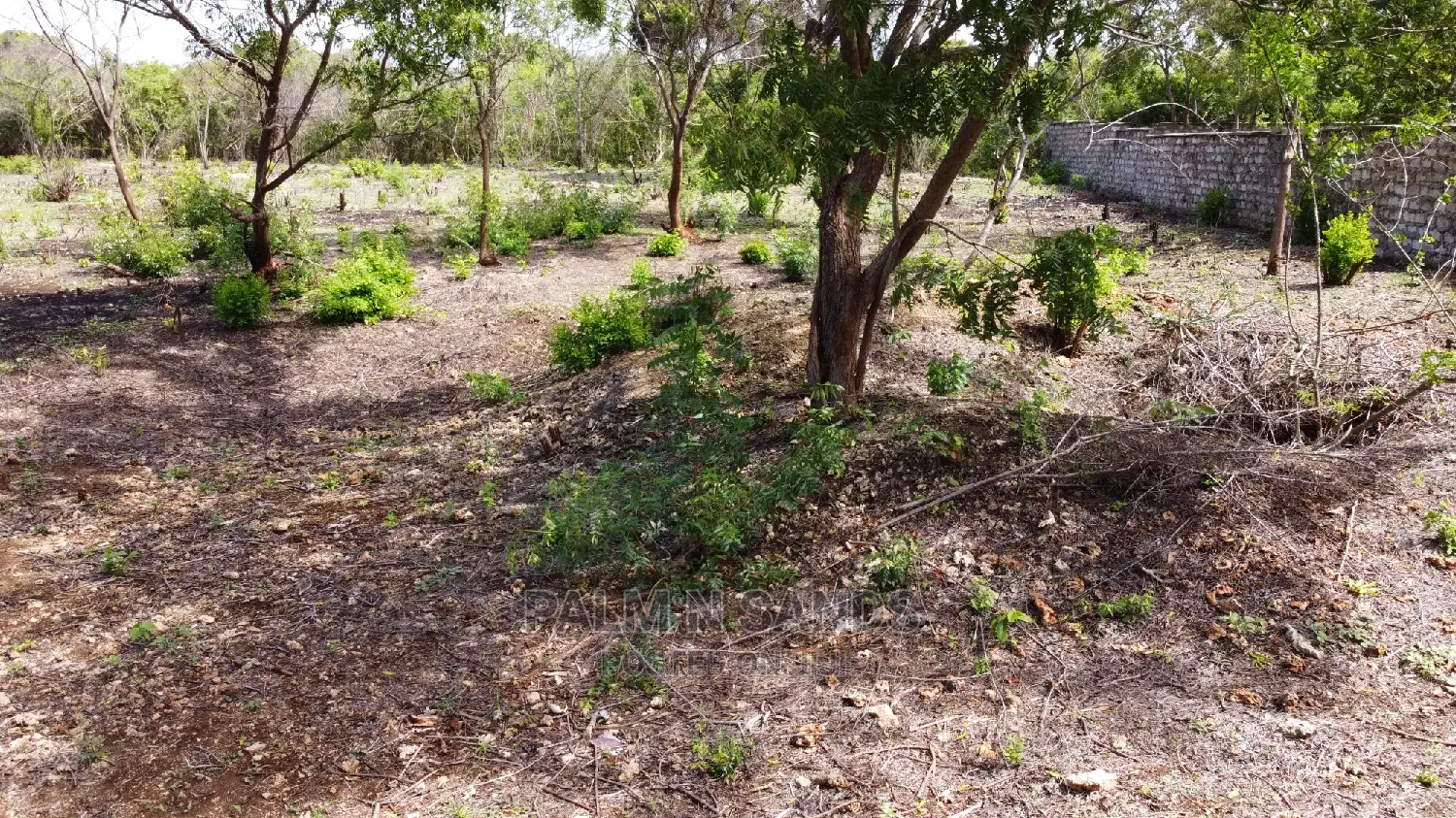 Prime Half Acre Beach Plot! At