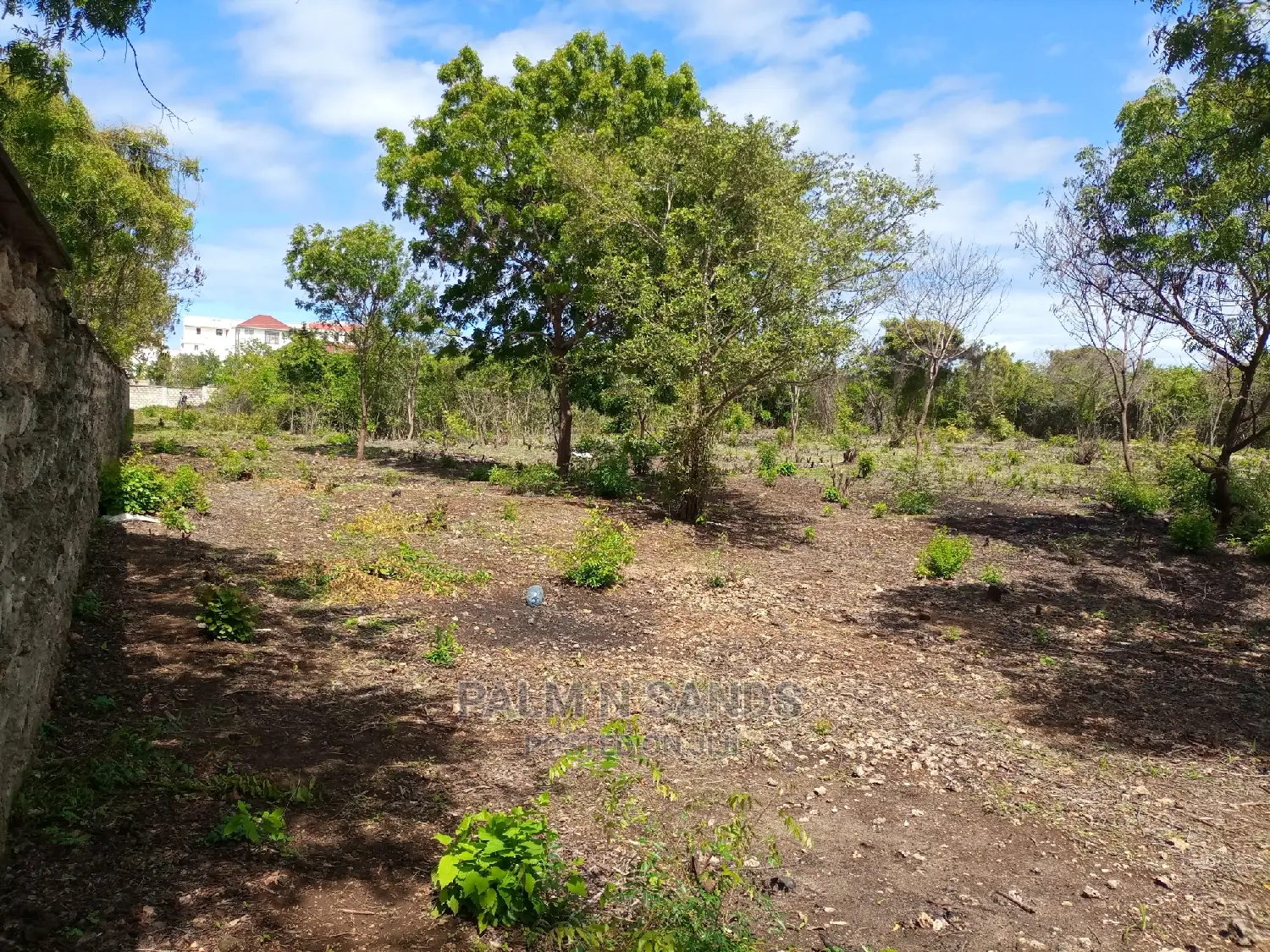 Prime Half Acre Beach Plot! At