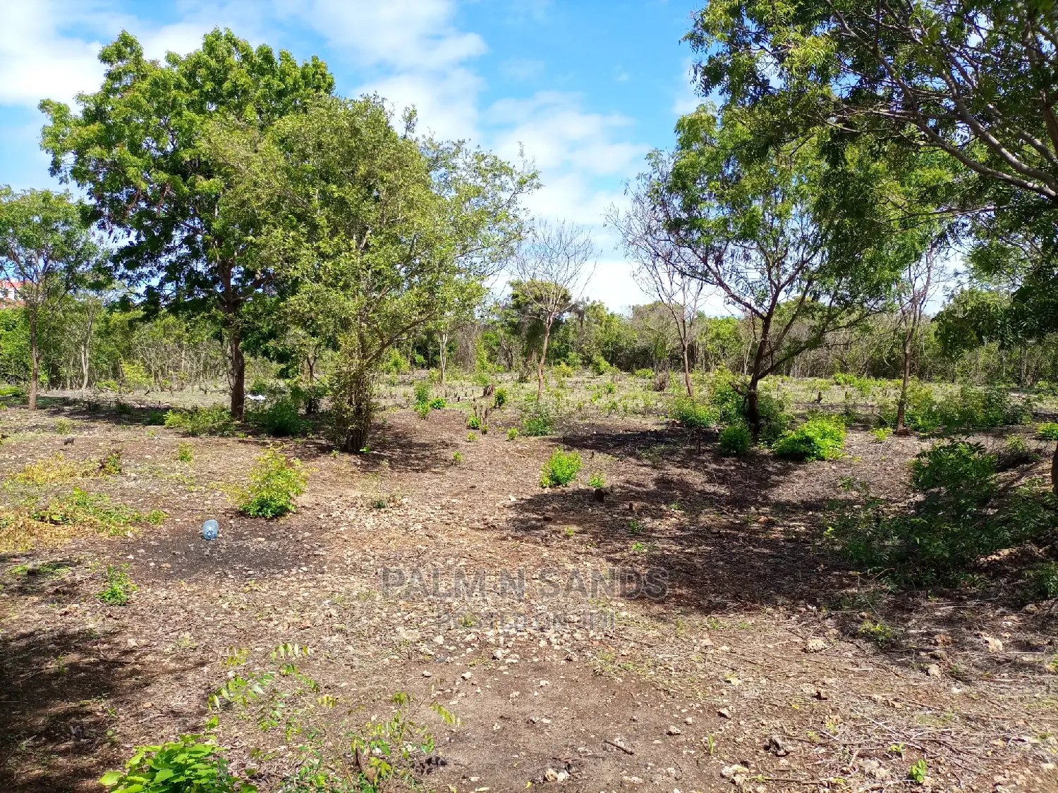 Prime Half Acre Beach Plot! At