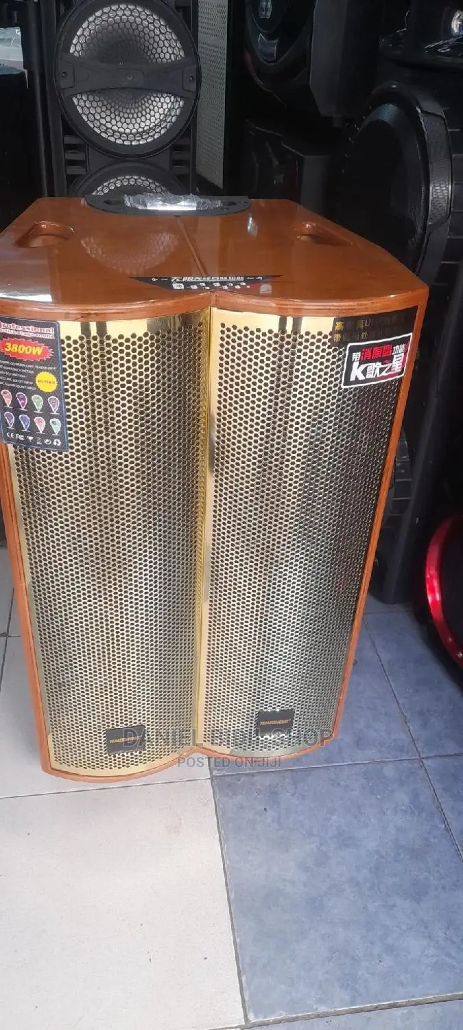 Powerful BT Standby US P.A Speaker +2mics