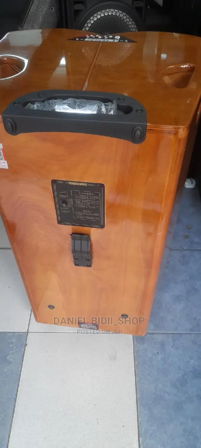 Powerful BT Standby US P.A Speaker +2mics