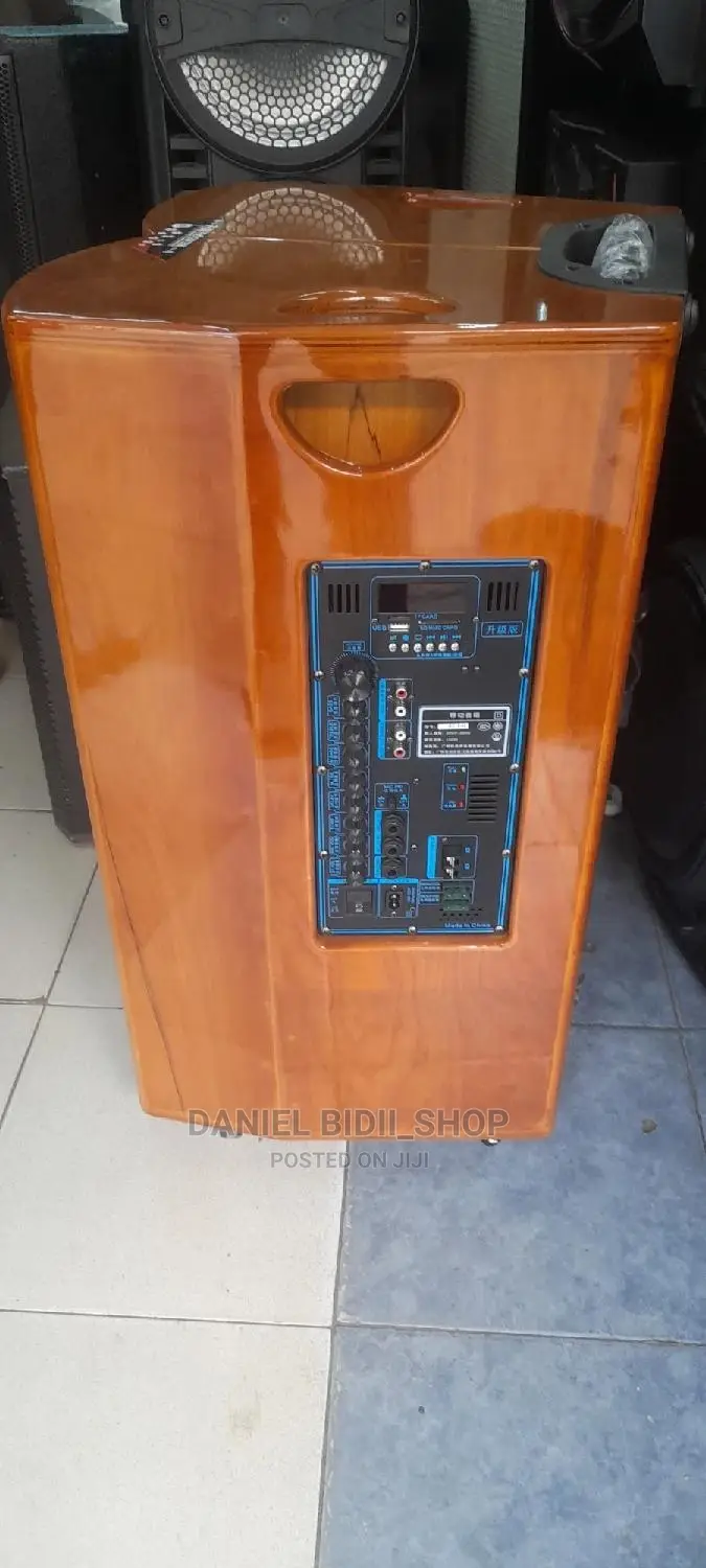 Powerful BT Standby US P.A Speaker +2mics