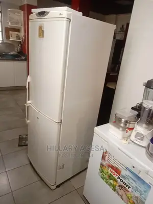 Fridge Repair Services