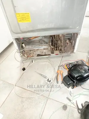 Fridge Repair Services