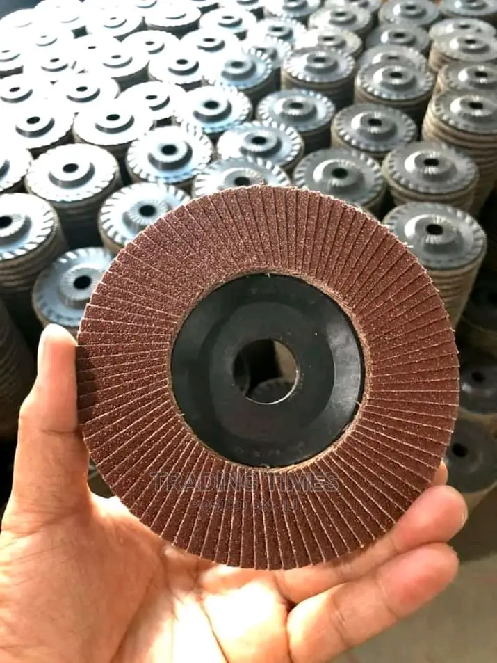 Sali Flap Disc (10pcs)