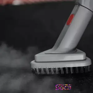 High Quality Pressure Steam Cleaner SGCB