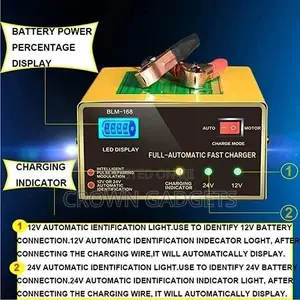 Universal 12 v Portable Car Battery Charger.