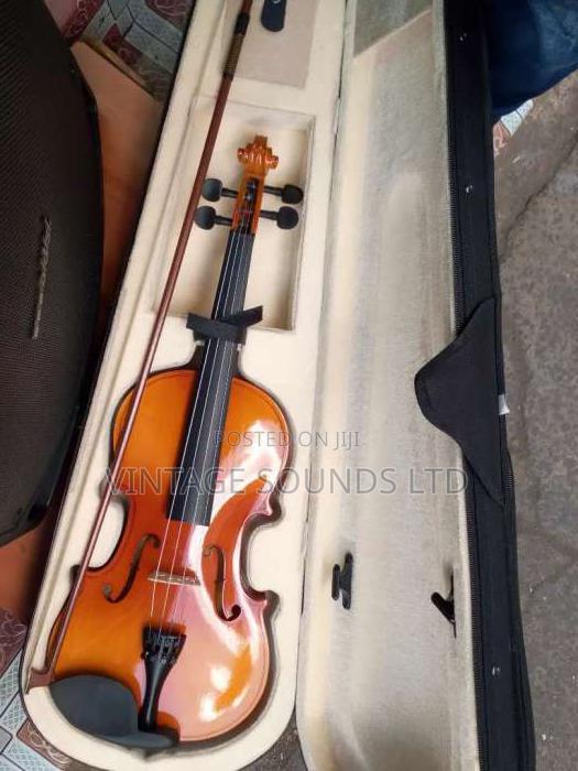 High Quality Maple Violin USA - main view