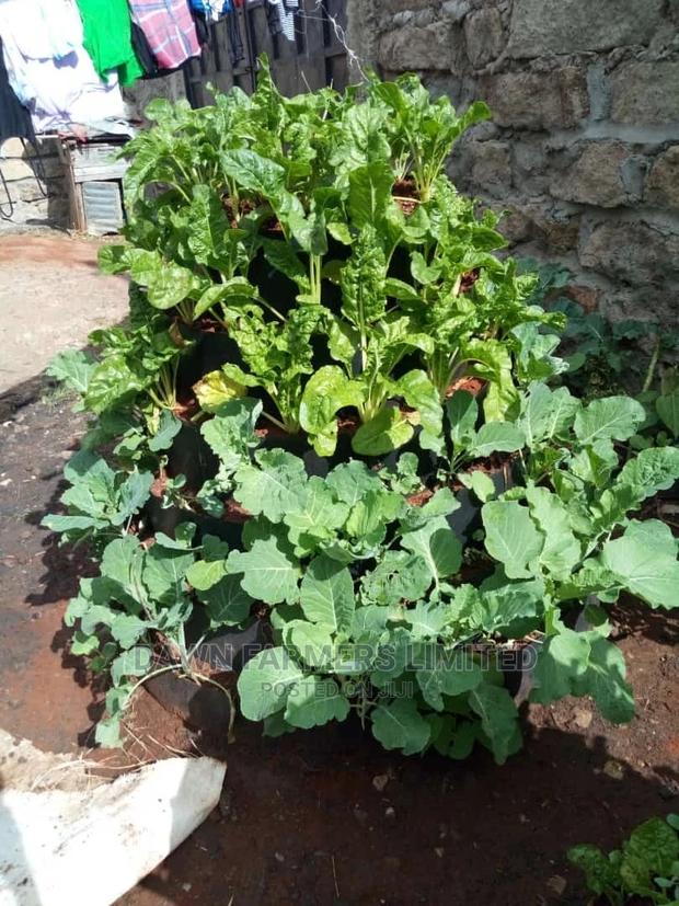 Vertical Garden Sale And Installation 5 Tiers - thumbnail 2
