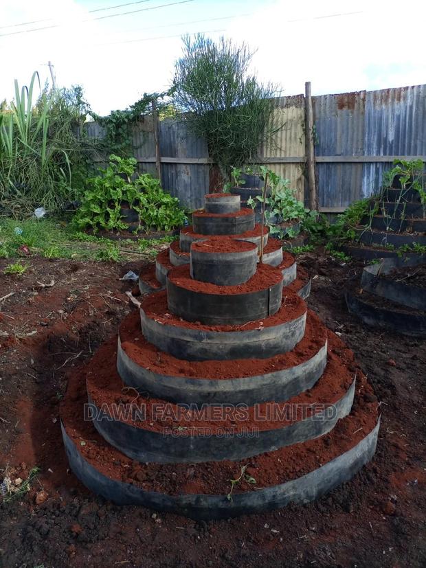 Vertical Garden Sale And Installation 5 Tiers - thumbnail 8