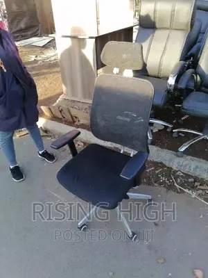 Supreme Quality Ergonomic Office Chair With Back Support