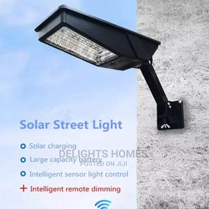 Solar Induction Lamp - main view