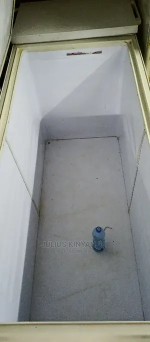 Deep Freezer 800L