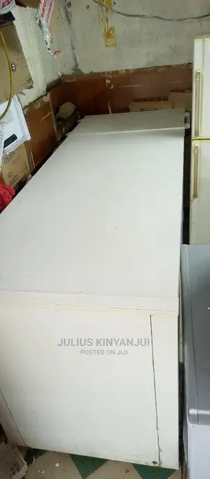 Deep Freezer 800L