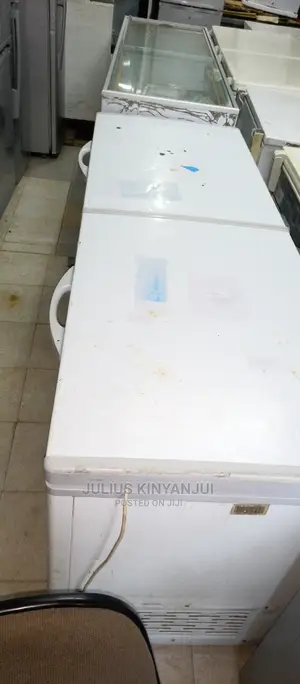 Freezer Double Doors