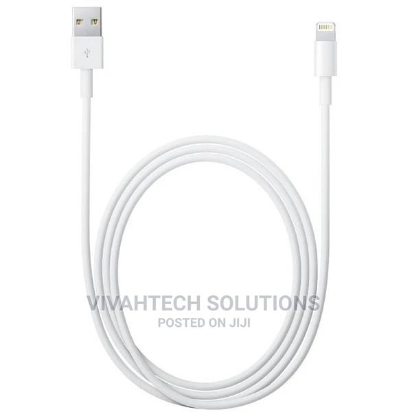 Apple Cable Lightning to USB - 2M - main view