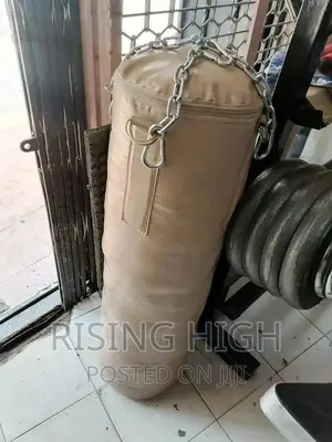 Executive Punching Bag