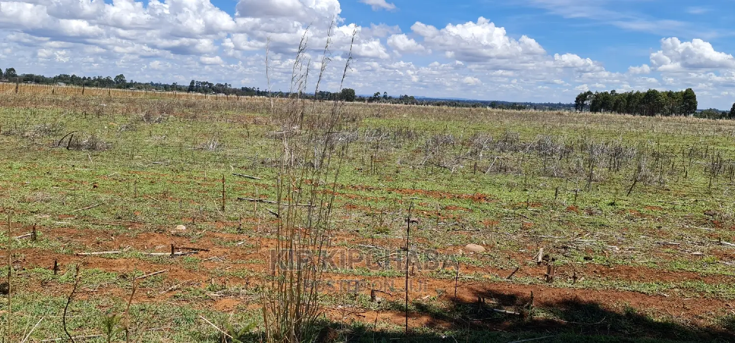 Prime Plots for Sale in Kuinet Touching Tarmac in Eldoret